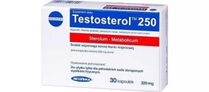 Megabol Testosterol 250 - 30kapslit