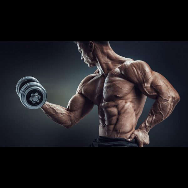 Activlab Creatine Monohydrate - 500g.